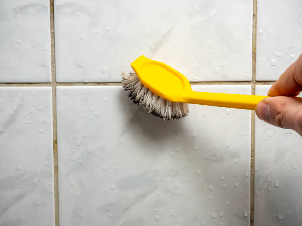Best Residential Mold Remediation in Brainerd, MN